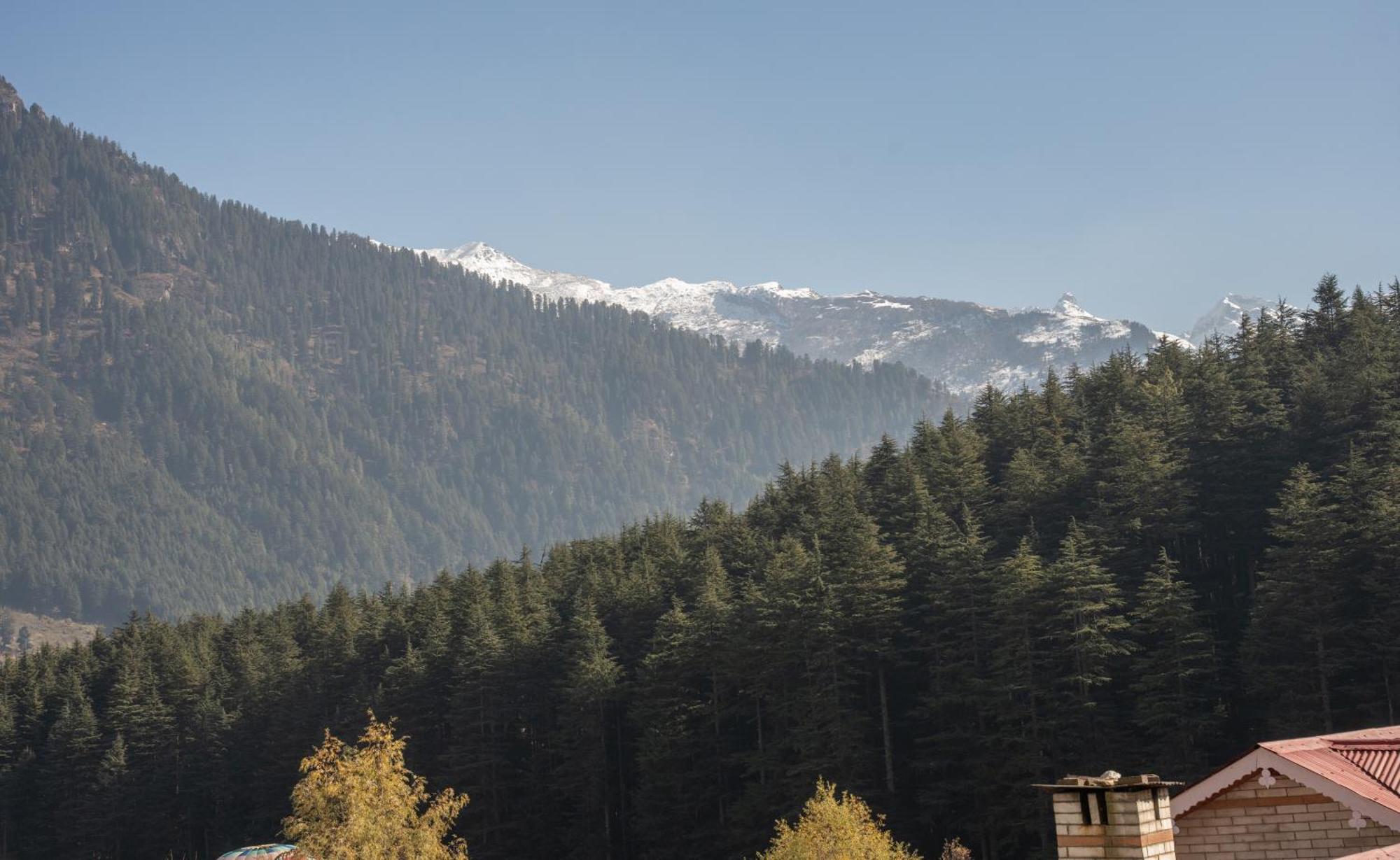 The Conifer Hotel Manali  Bagian luar foto